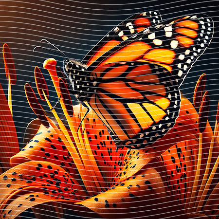 20oz integrate-EJ-7953